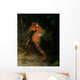 Orange Seahorse West Palm Wall Decal Design 2