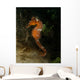 Orange Seahorse West Palm Wall Decal Design 2