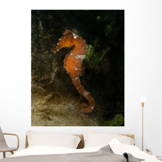 Orange Seahorse West Palm Wall Decal Design 2