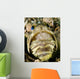Male Jawfish with Brood Wall Decal