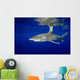 Oceanic Whitetip Shark with Wall Decal Design 3