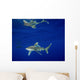 Oceanic Whitetip Shark with Wall Decal Design 2