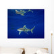 Oceanic Whitetip Shark with Wall Decal Design 2