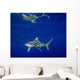 Oceanic Whitetip Shark with Wall Decal Design 2