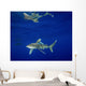 Oceanic Whitetip Shark with Wall Decal Design 2