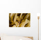 Cleaner Shrimp Anemone Curacao Wall Decal