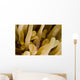 Cleaner Shrimp Anemone Curacao Wall Decal