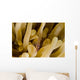 Cleaner Shrimp Anemone Curacao Wall Decal