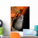 Spotted Moray Eel Bright Wall Decal