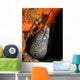 Spotted Moray Eel Bright Wall Decal