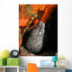 Spotted Moray Eel Bright Wall Decal