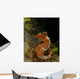 Orange Seahorse West Palm Wall Decal Design 1