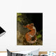 Orange Seahorse West Palm Wall Decal Design 1