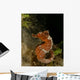 Orange Seahorse West Palm Wall Decal Design 1