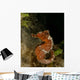 Orange Seahorse West Palm Wall Decal Design 1