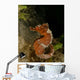 Orange Seahorse West Palm Wall Decal Design 1