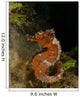 Orange Seahorse West Palm Wall Decal Design 1