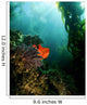 Bright Garibaldi near Sea Wall Decal