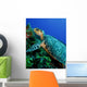 Feeding Hawksbill Sea Turtle Wall Decal