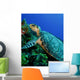 Feeding Hawksbill Sea Turtle Wall Decal