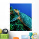 Feeding Hawksbill Sea Turtle Wall Decal