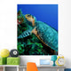 Feeding Hawksbill Sea Turtle Wall Decal