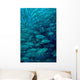 Inside School Jack Fish Wall Decal