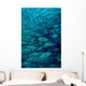 Inside School Jack Fish Wall Decal