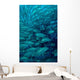 Inside School Jack Fish Wall Decal