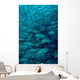 Inside School Jack Fish Wall Decal