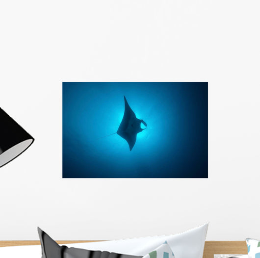 Manta Ray Gliding through Wall Decal