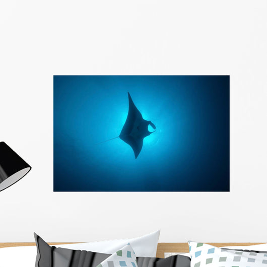 Manta Ray Gliding through Wall Decal