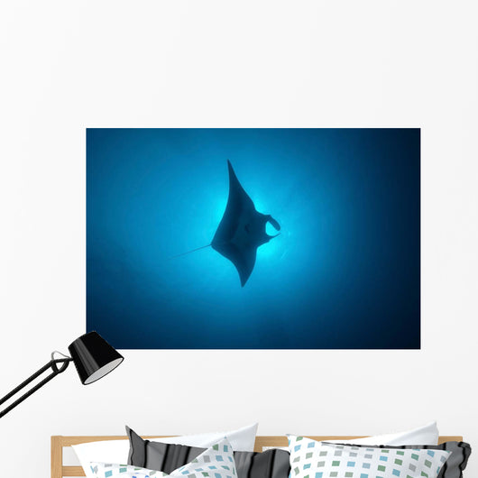 Manta Ray Gliding through Wall Decal
