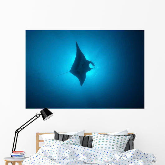 Manta Ray Gliding through Wall Decal