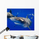Curious Oceanic Whitetip Shark Wall Decal