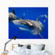 Curious Oceanic Whitetip Shark Wall Decal