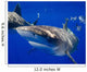Curious Oceanic Whitetip Shark Wall Decal