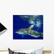 Oceanic Whitetip Shark Cat Wall Decal Design 11