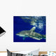 Oceanic Whitetip Shark Cat Wall Decal Design 11