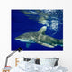 Oceanic Whitetip Shark Cat Wall Decal Design 11