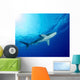 Underside Oceanic Whitetip Shark Wall Decal