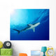 Underside Oceanic Whitetip Shark Wall Decal