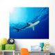 Underside Oceanic Whitetip Shark Wall Decal