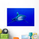 Oceanic Whitetip Shark Cat Wall Decal Design 10