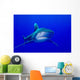 Oceanic Whitetip Shark Cat Wall Decal Design 10