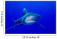 Oceanic Whitetip Shark Cat Wall Decal Design 10