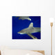 Oceanic Whitetip Shark with Wall Decal Design 1