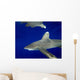 Oceanic Whitetip Shark with Wall Decal Design 1