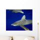 Oceanic Whitetip Shark with Wall Decal Design 1