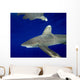 Oceanic Whitetip Shark with Wall Decal Design 1